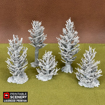 Pine Trees